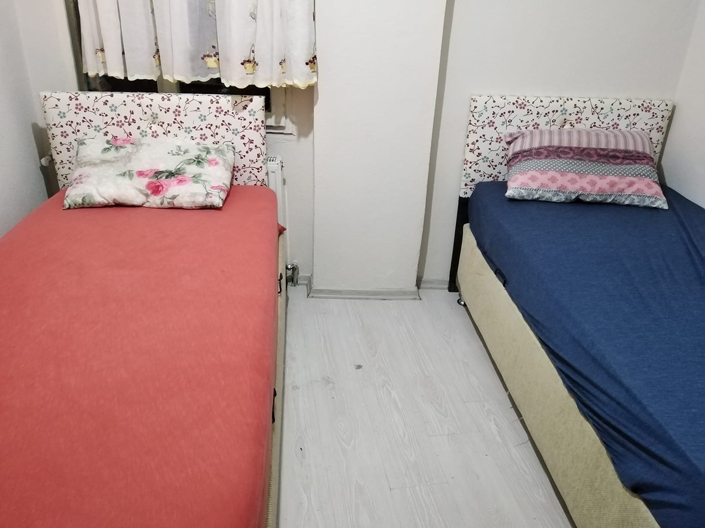 غرفة للإيجار شخص او شخصين في شيرين ايفلر شارع محمود بيه www